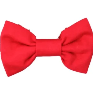 Papillon MANUELL & FRANK