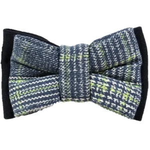 Papillon CESARE PACIOTTI