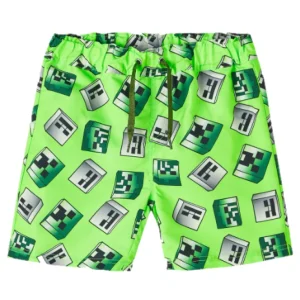 Costume MINECRAFT name it