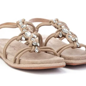 SANDALI ALMA EN PENA DONNA VISONE - V22421 VIS